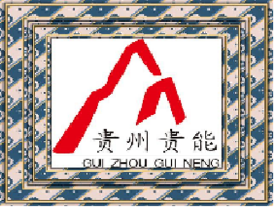 貴州貴能(néng)投資股份有(yǒu)限公司