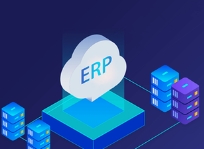 定制(zhì)開(kāi)發的(de)貴陽erp系統在以下(xià)幾個(gè)方面具有(yǒu)優勢